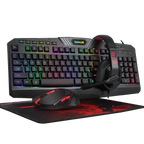 Redragon S101-BA-2 4 In 1 Combo Wired Gaming RGB Backlit Keyboard, Gaming Mouse, Gaming Mouse Pad & Headset Combo (All in 1) PC Gamer Bundle for Windows - Black
